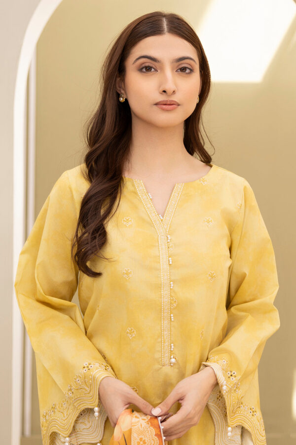 Embroidered Shirt Shalwar Dupatta - 0151 - Image 3